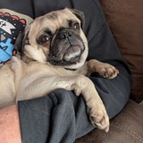 Entry image for Patrick