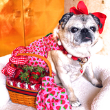 Entry image for Pippi Whitestocking