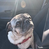 Entry image for Izzie Mae 