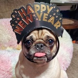 Entry image for Ellie Anna