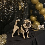 Entry image for Fred