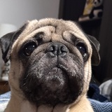 Entry image for Benmont 