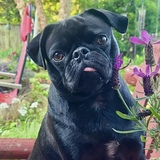 Entry image for Ellie