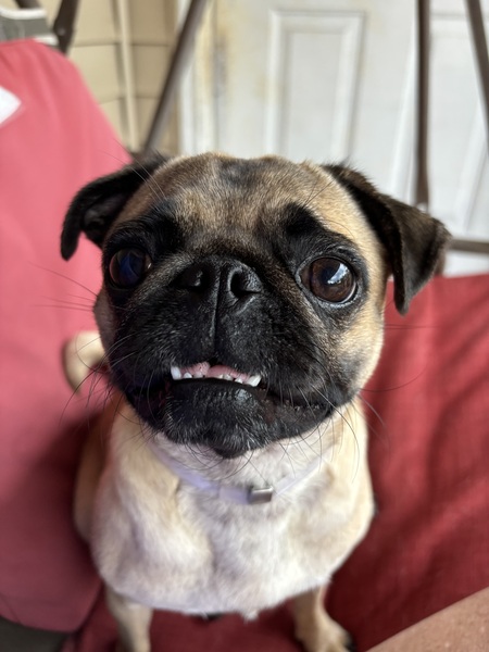 Entry image for Citali Marie. Clicking this image will show a larger photo