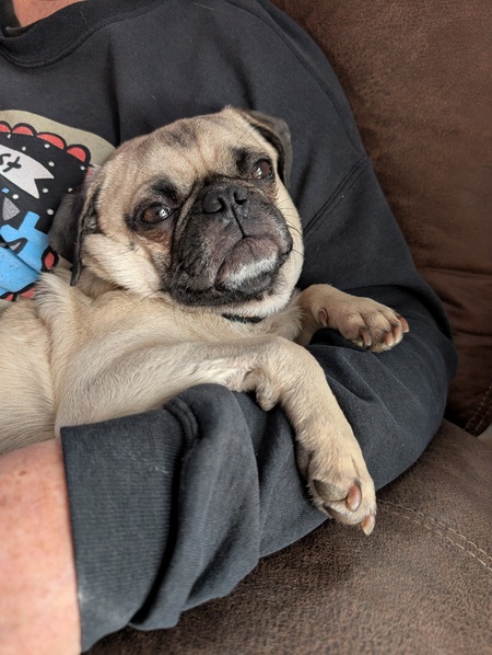 Entry image for Patrick. Clicking this image will show a larger photo