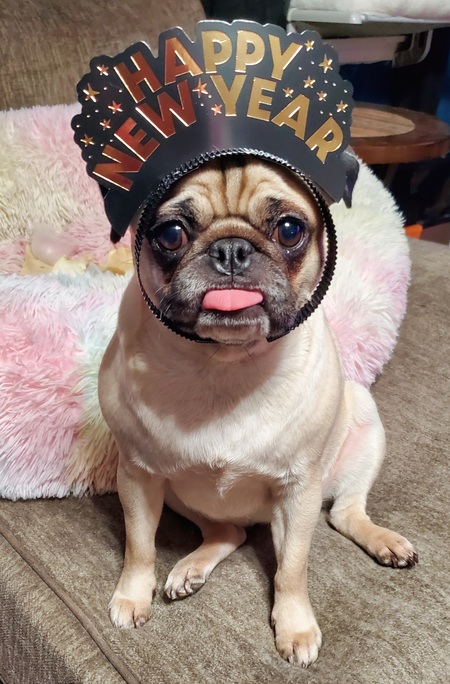 Entry image for Ellie Anna. Clicking this image will show a larger photo