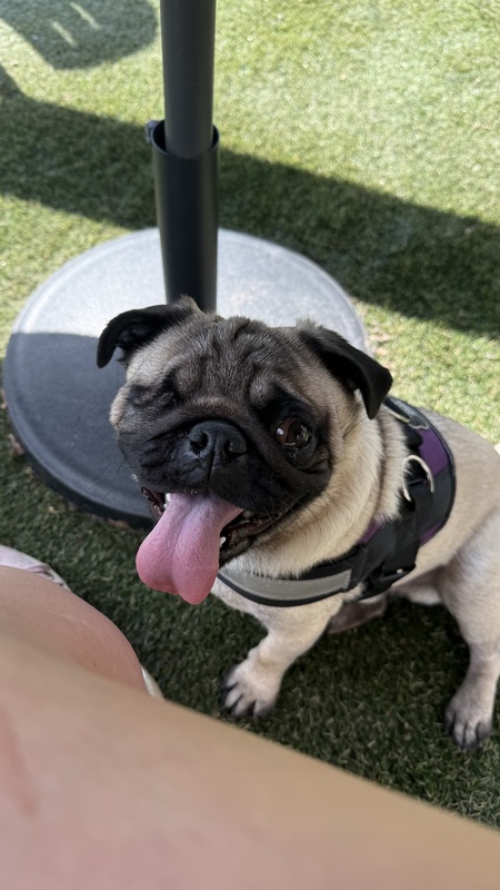 Entry image for Odin. Clicking this image will show a larger photo