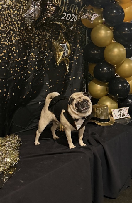 Entry image for Fred. Clicking this image will show a larger photo