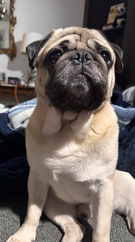 Entry image for Benmont . Clicking this image will show a larger photo