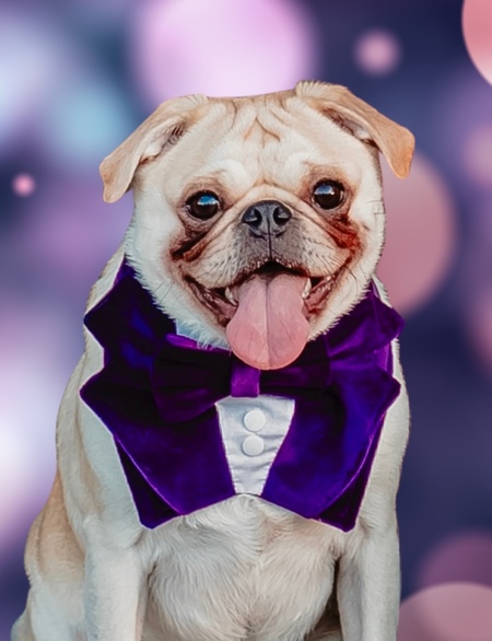 Entry image for Cleetus. Clicking this image will show a larger photo