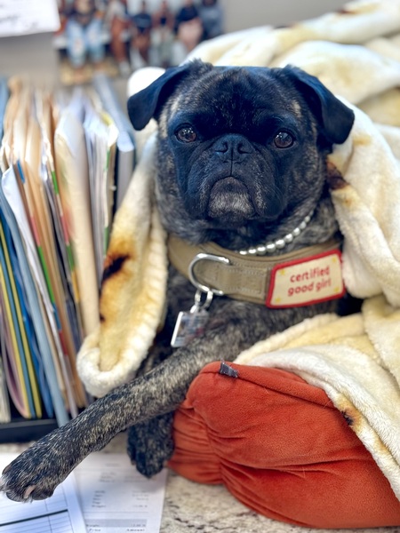 Entry image for Mavis Lynn. Clicking this image will show a larger photo