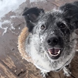 Entry image for Marilyn