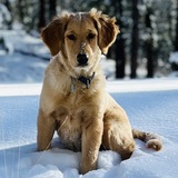 Entry image for Emmie