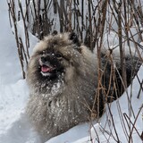 Entry image for Jürgen