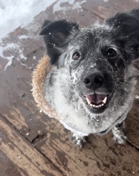 Entry image for Marilyn. Clicking this image will show a larger photo