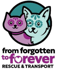 Logo for From Forgotten to Forever 2027 Calendar Pet Photo Contest