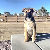Entry image for Emma Grace