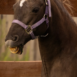 Entry image for Luna