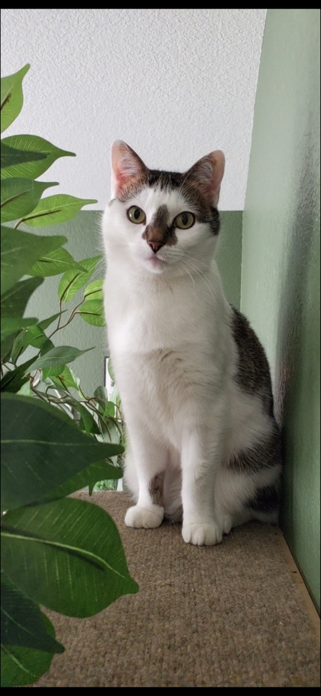 Entry image for Evie. Clicking this image will show a larger photo