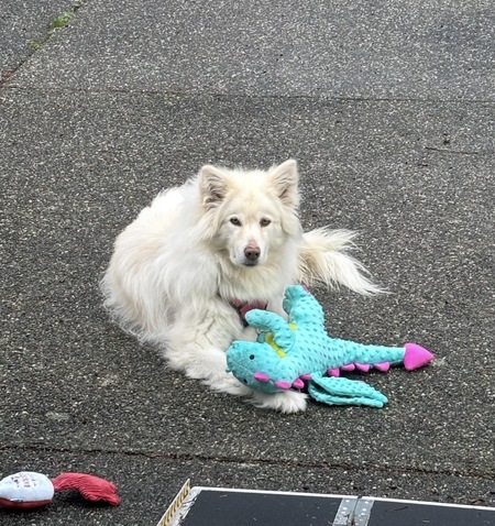 Entry image for Spirit. Clicking this image will show a larger photo