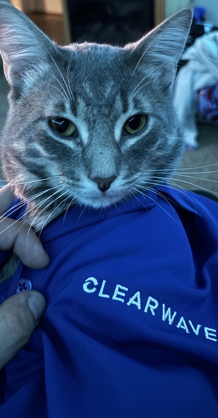 Entry image for Stitch  “Clearwave Kitty”. Clicking this image will show a larger photo