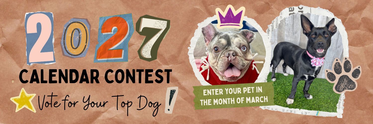 Banner for I.C.A.R.E. Dog Rescue 2027 Calendar Contest