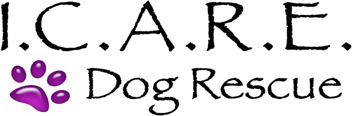 Logo for I.C.A.R.E. Dog Rescue 2027 Calendar Contest