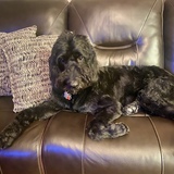 Entry image for Zero