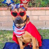 Entry image for Navi