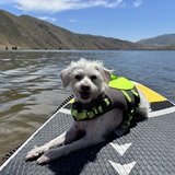 Entry image for Vanna White