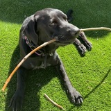 Entry image for Jada