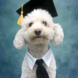 Entry image for George