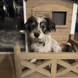 Entry image for Mikko