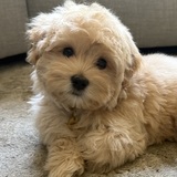 Entry image for Winston 