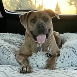 Entry image for Theo