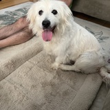 Entry image for Kaylee