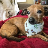 Entry image for Praline