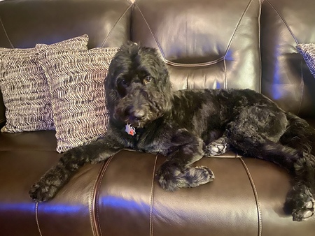 Entry image for Zero. Clicking this image will show a larger photo