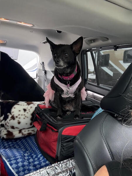 Entry image for Faith. Clicking this image will show a larger photo