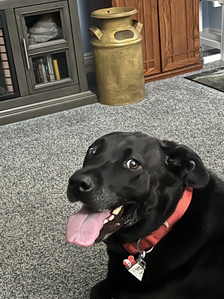 Entry image for Abraham Lincoln. Clicking this image will show a larger photo