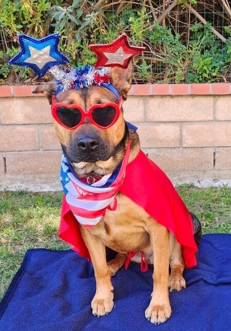 Entry image for Navi. Clicking this image will show a larger photo