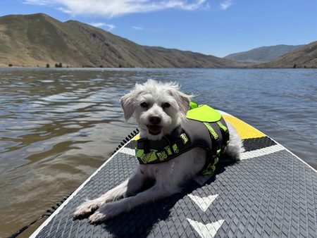 Entry image for Vanna White. Clicking this image will show a larger photo