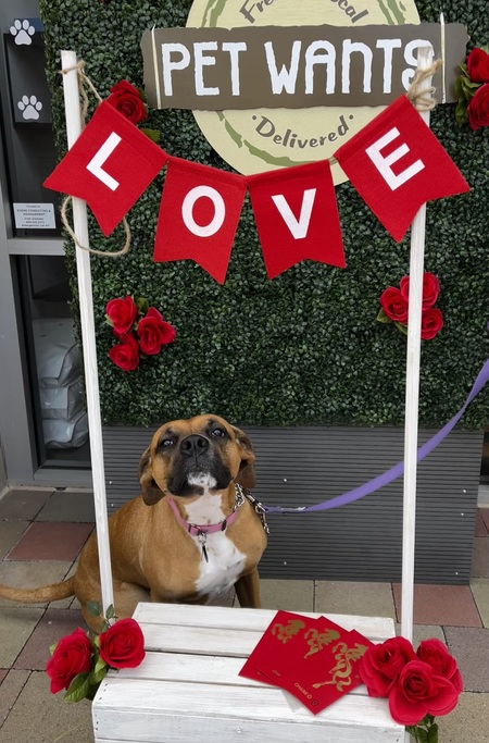 Entry image for Rousey . Clicking this image will show a larger photo