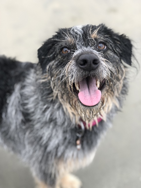 Entry image for Lani. Clicking this image will show a larger photo