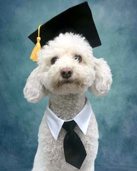 Entry image for George. Clicking this image will show a larger photo