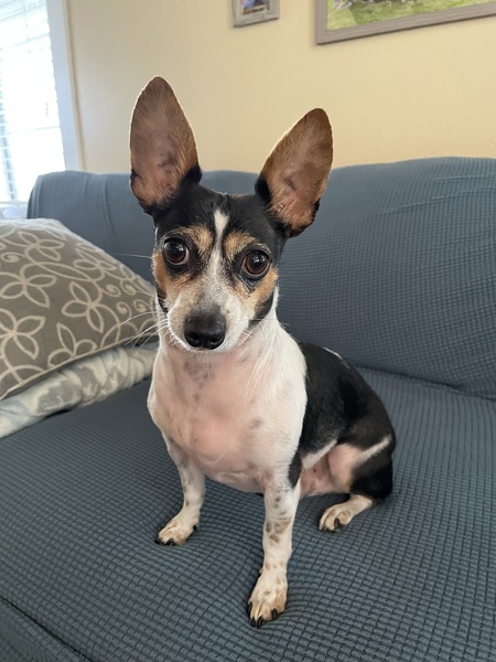 Entry image for Max. Clicking this image will show a larger photo