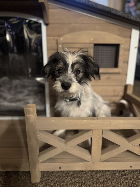 Entry image for Mikko. Clicking this image will show a larger photo