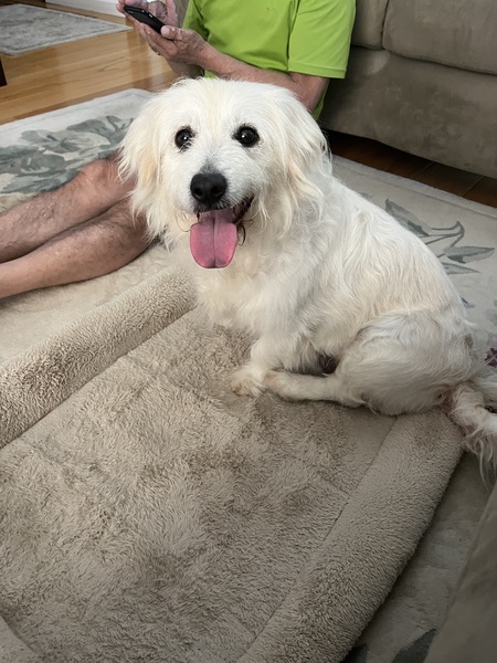 Entry image for Kaylee. Clicking this image will show a larger photo