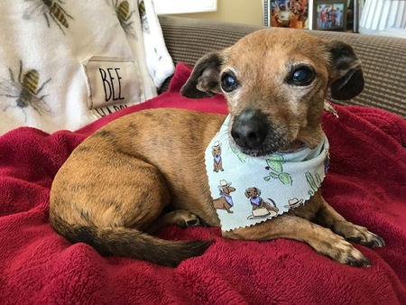 Entry image for Praline. Clicking this image will show a larger photo