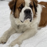 Entry image for George